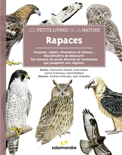 Rapaces Faucons Aigles Chouettes Et Hiboux Reconna Tre Et D Couvrir