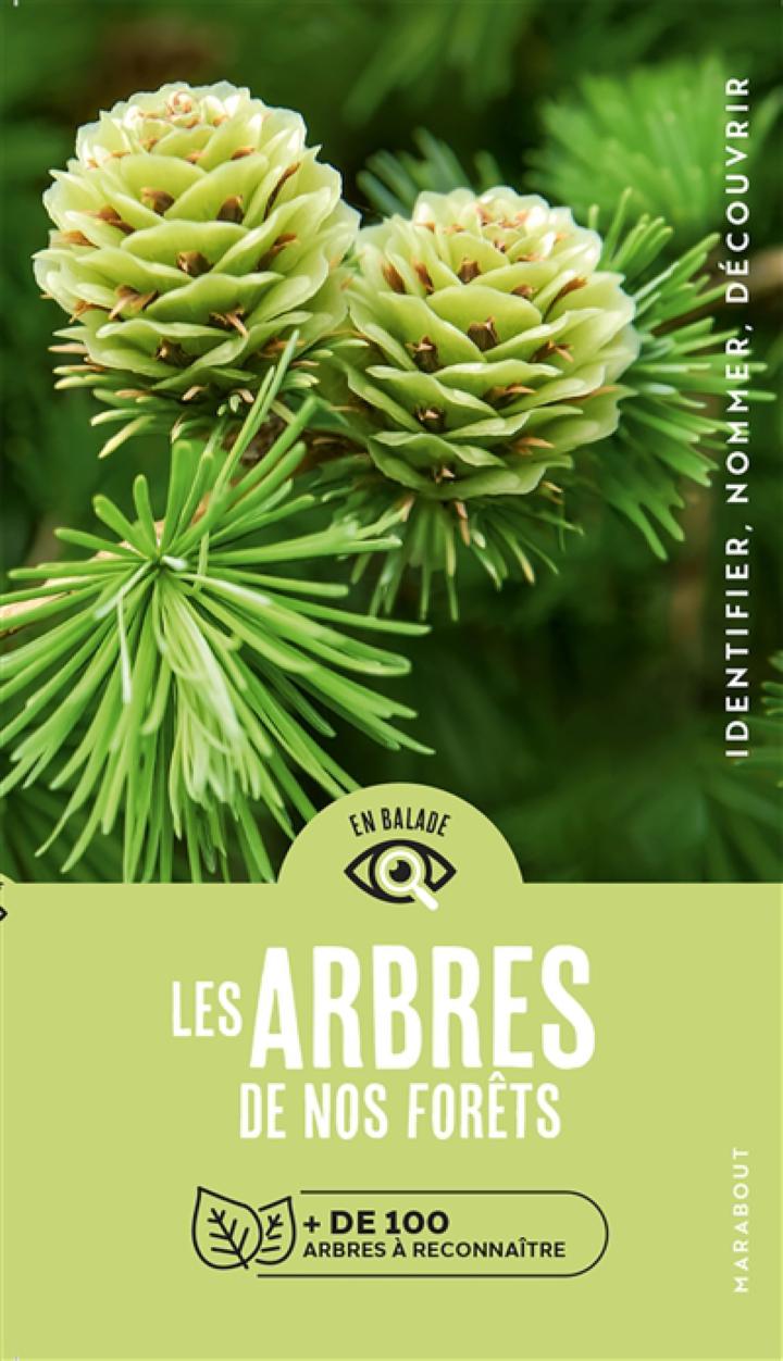 Les arbres de nos forêts de 100 arbres à reconnaître identifier