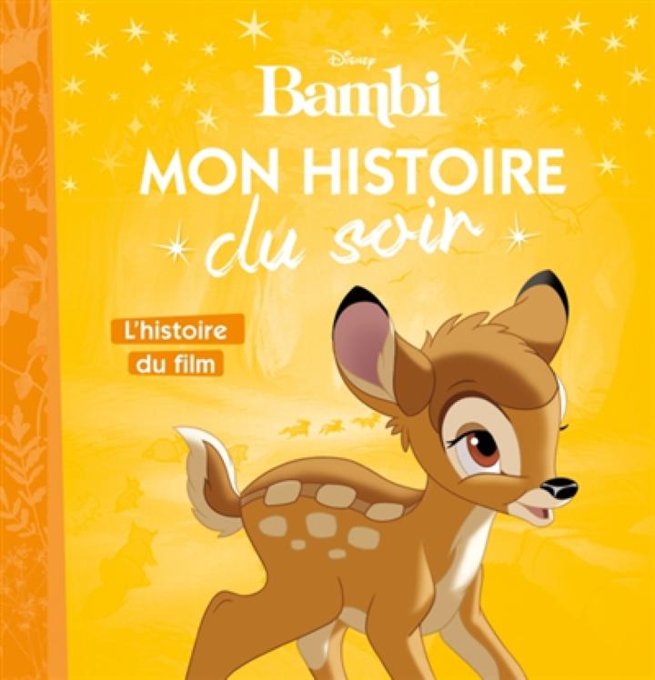 LE ROI LION - Mon Histoire du Soir - L'histoire du film - Disney