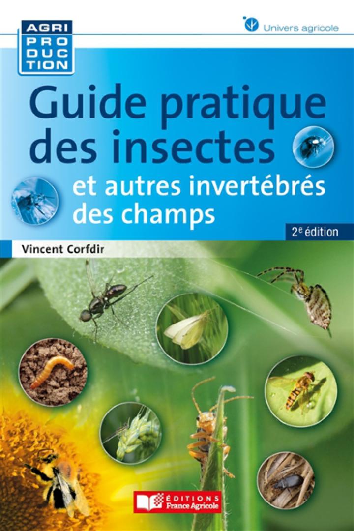 Guide complet sur les insectes comestibles - crokfun