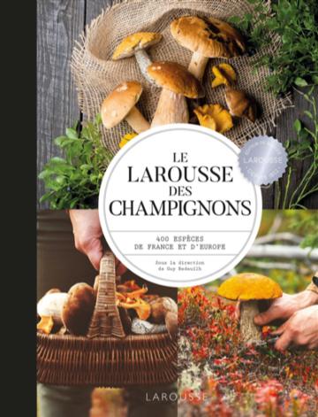 Les champignons avant les gars « amusants » ! Autocollant Champignon en  vente B2B pour votre magasin – Faire Luxembourg