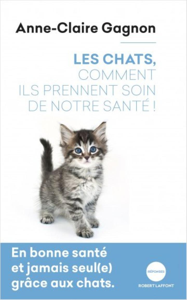 Avoir un chat : 7 bienfaits de l'animal sur votre santé