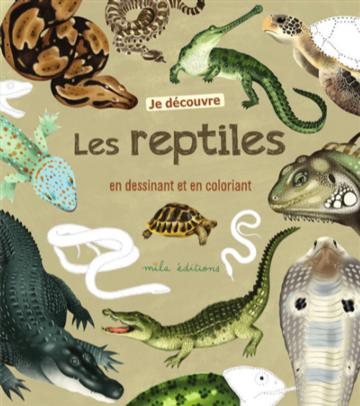 Mon beau livre de la nature - À la découverte des petites bêtes et des  oiseaux - Mila Éditions