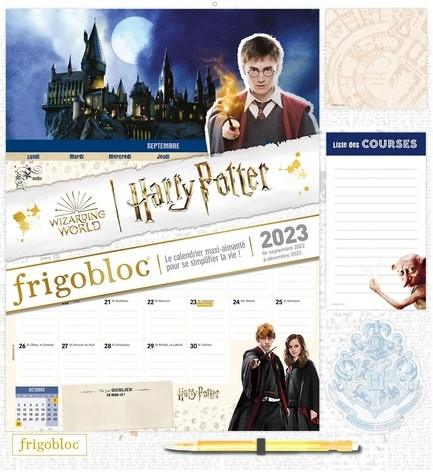 FRIGOBLOC MENSUEL HARRY POTTER XXX PLAY BAC 9782809678901 GADGETS Agendas -  Calendriers - Librairie Filigranes